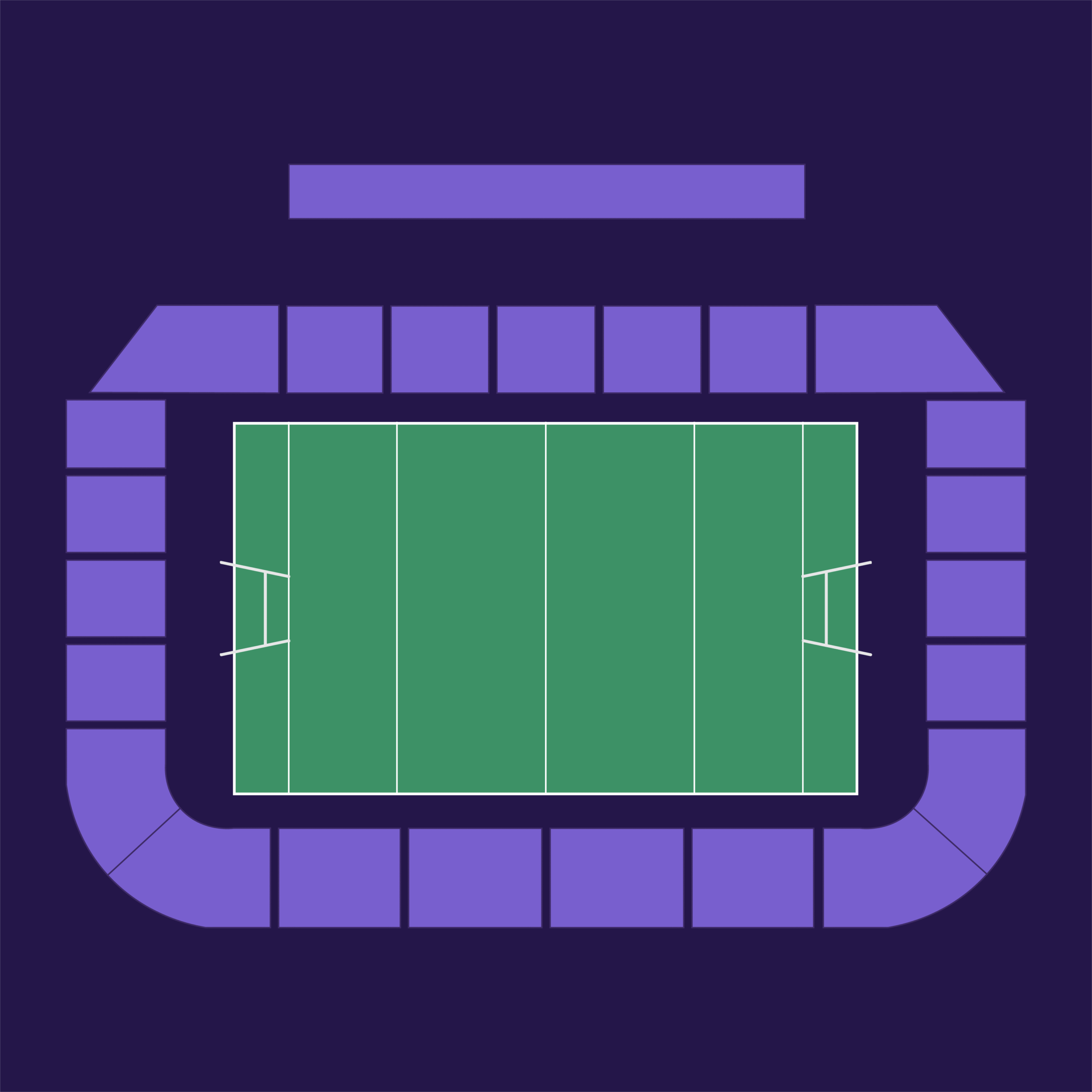 Stade Ernest-Wallon seat plan – Toulouse home matches – aggregate view with all sections in purple